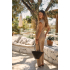 Studio Anneloes  Nancy cargo jumpsuit - latte
